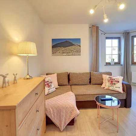 Apartament Marzenie Apartment *